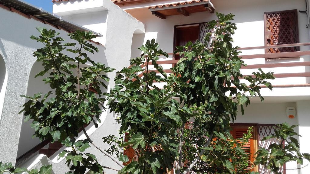 Villa Modus Vivendi شينيسي المظهر الخارجي الصورة